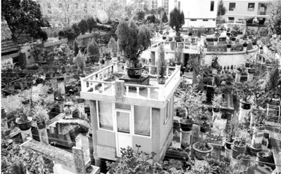 《秘密花园》将有故宫版pg电子首页文体艺