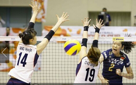 《秘密花园》将有故宫版pg电子首页文体艺苑：(图6)